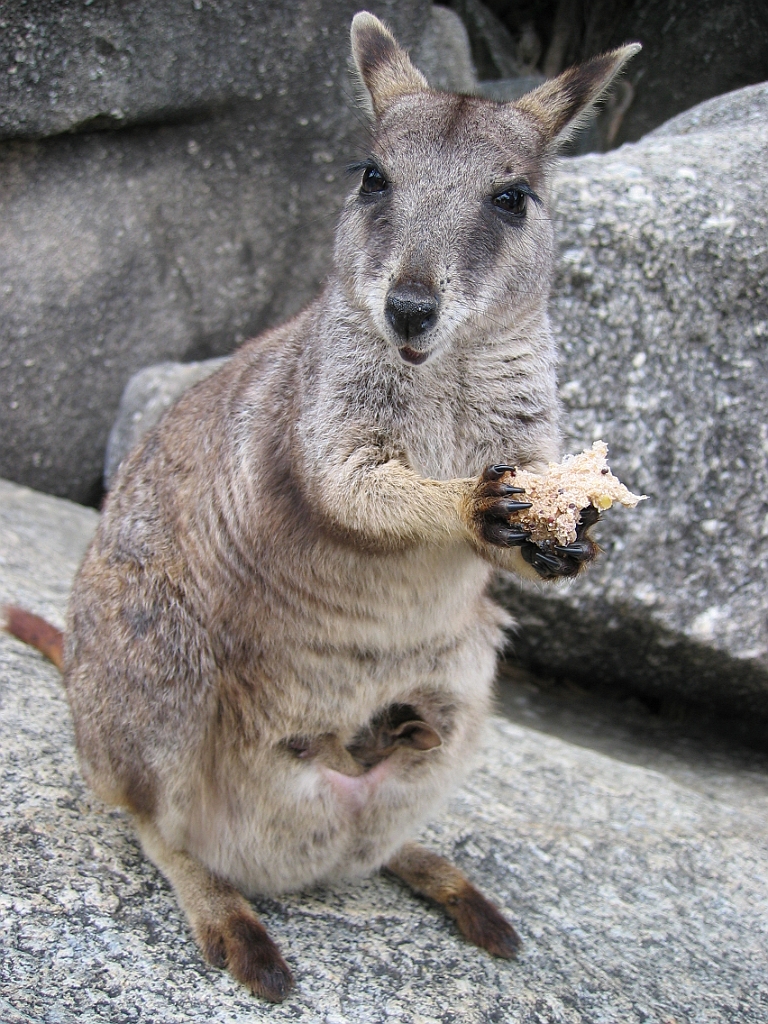 131 Granite Gorge.jpg